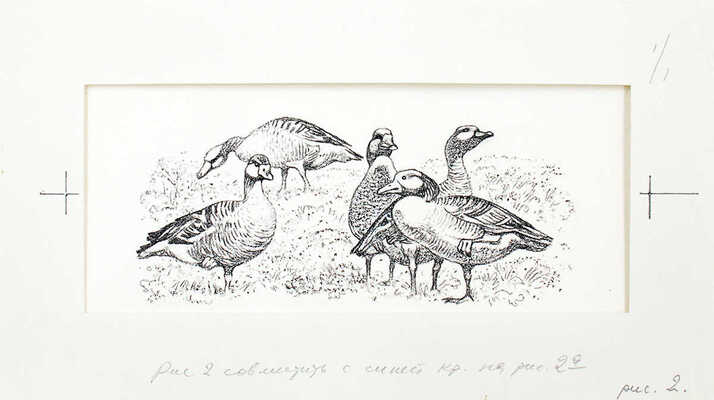 Кузнецов Леонид Трофимович. Макет из 27 иллюстраций и книга К.Д. Ушинского «Рассказы и сказки» (М.: Дет. лит., 1975)